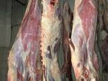 Beef, Cow, Veal / Frozen - photo 1