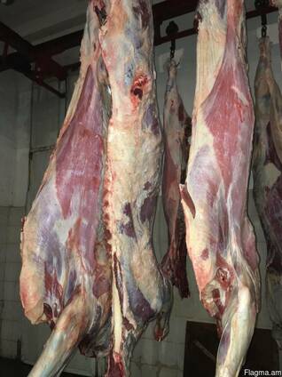 Beef, Cow, Veal / Frozen