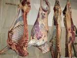 Beef, Cow, Veal / Frozen - photo 5