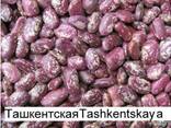 Фасоль очищенная высокого качества оптом от производителя - photo 1