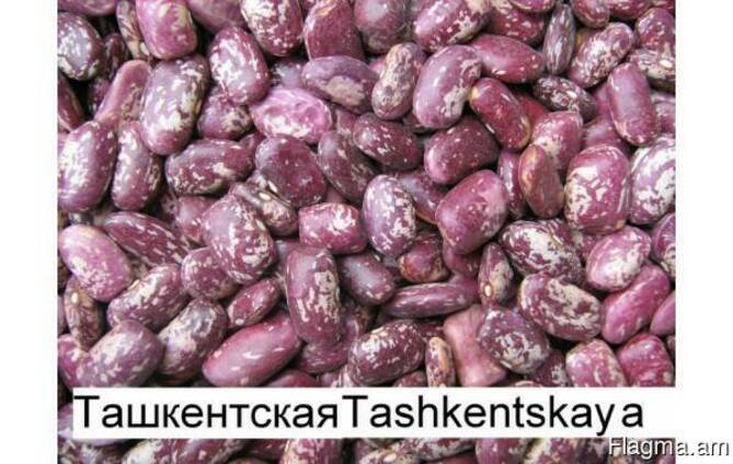 Фасоль очищенная высокого качества оптом от производителя