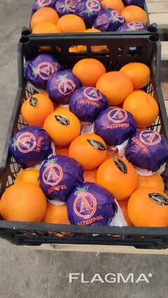 Апельсин Fukumoto