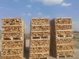 Apple tree firewood - фото 2