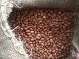 Арахис ИНДИЙСКИЙ 80/90 мелкий калибр - фото 5