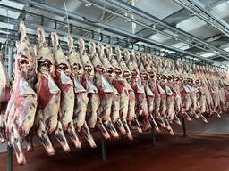 БЕЛОРУССКАЯ ГОВЯДИНА от производителя АЛЕКСАНДРОВ, доставка в Ереван