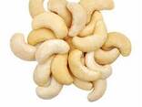 Cashew nut/ Cashew Nut Size W180 W240 W320 W450 - фото 1