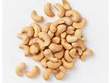 Cashew nut/ Cashew Nut Size W180 W240 W320 W450 - фото 3