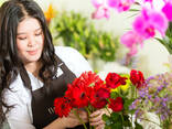 Dizayn floristikayi daser /Caxikneri dizayni daser/Ֆլորիստիկայի դասընթացներ - photo 2