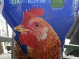Compound Feed for Broiler Chicken - Best Mix - фото 1
