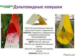 Дельтавидная клеевая ловушка (Дельта трап 60см*25см)