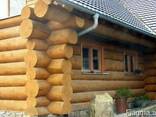 Дома из дикого сруба - фото 9