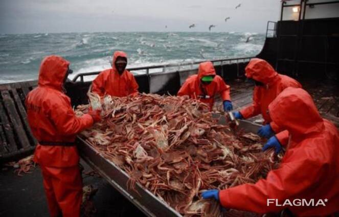 Frozen Alaskan King Crab