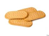 Galette biscuits in range - photo 5