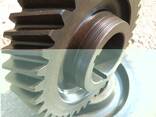 Gearwheel, gear, staft gear, toothed crown, gear box - фото 2