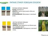 Голубые клеевые ловушки-карты 25см*10см - фото 2