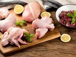 Halal Frozen Chicken, Thigh, Back quarter, Wings , Fillet IPBF , IQF, BF. - photo 3