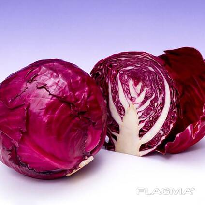 Капуста Ранчеро F1