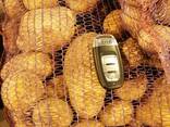 Картофель - Огромный объём - идеальное качество - фото 3
