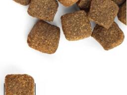 Корм для собак Dog food ОПТ Собственный Завод Корм для собак Dog food ОПТ