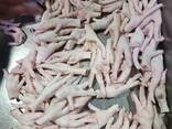 Куриные лапки и ножки chicken paws, feet из Ирана - фото 1