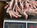 Куриные лапки и ножки chicken paws, feet из Узбекистана для Китая - фото 1