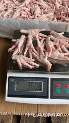 Куриные лапки и ножки chicken paws, feet из Узбекистана для Китая
