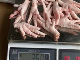 Куриные лапки и ножки chicken paws, feet из Ирана