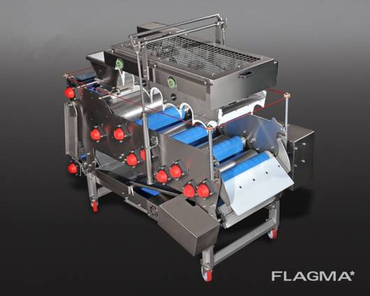 Ленточные пресса для фруктов разной производительности