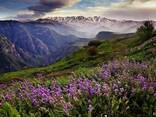 Майские праздники в Армении - фото 2