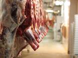 Мясо говядина на кости Бык/Корова - фото 1