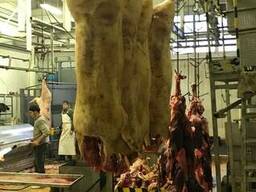 Мясо (Туша, полутуша охлажденная, замороженная) свинина, гов