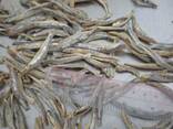 Поставки сушеной рыбы в Армению из Вьетнама от завода производителя. - фото 2