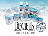 Поставляем широкий ассортимент молочной продукции из Беларуси - фото 2