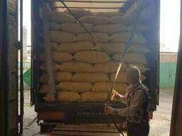 Продам грецкие орехи оптом