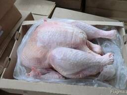 Продам Индейку