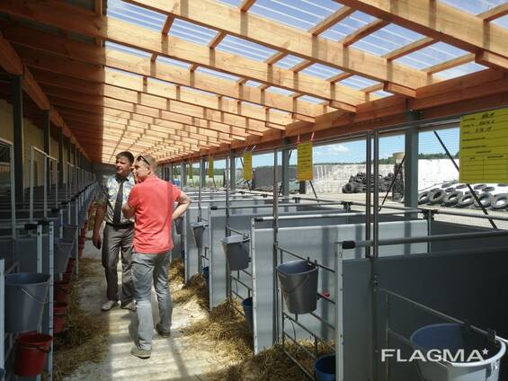 Модульный бокс для теленка