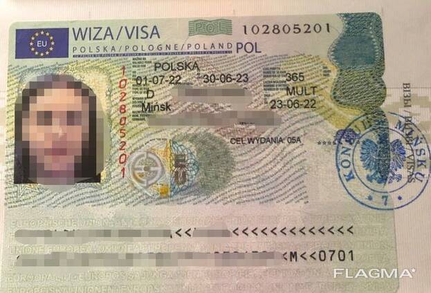 Разрешение на работу в Польшу, национальная виза D, Рабочая виза