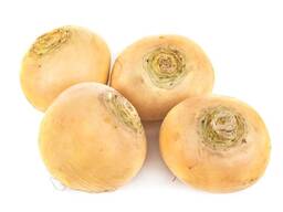 Репа Желтая