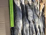 Рыба вяленая - фото 3