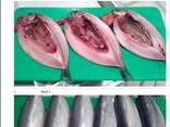 Скумбрия мороженая - photo 1