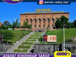 Тур на Ереванский Конячный завод Арарат