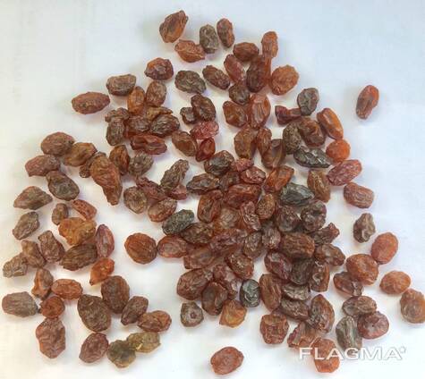 Виноград сушеный коричневы (Офтоби) сушеный на солнце без обработки экологический чисты.