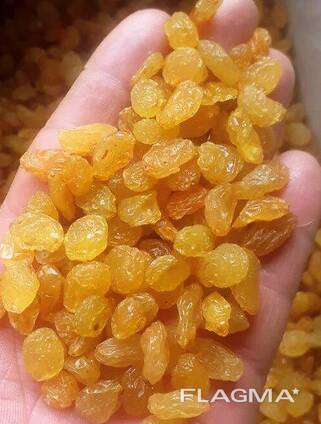 Виноград сушеный желтый (Golden) 1 сорт