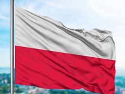 Воеводская виза на 36 месяцев (разрешение на работу от транспортной компании)