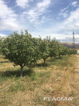 Земля для производства рядом с Ереваном